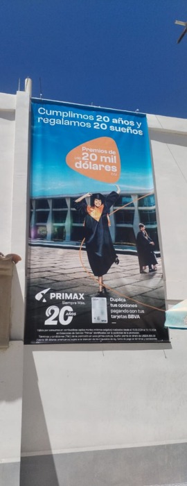 WhatsApp Image 2024-12-27 at 7.31.39 PM